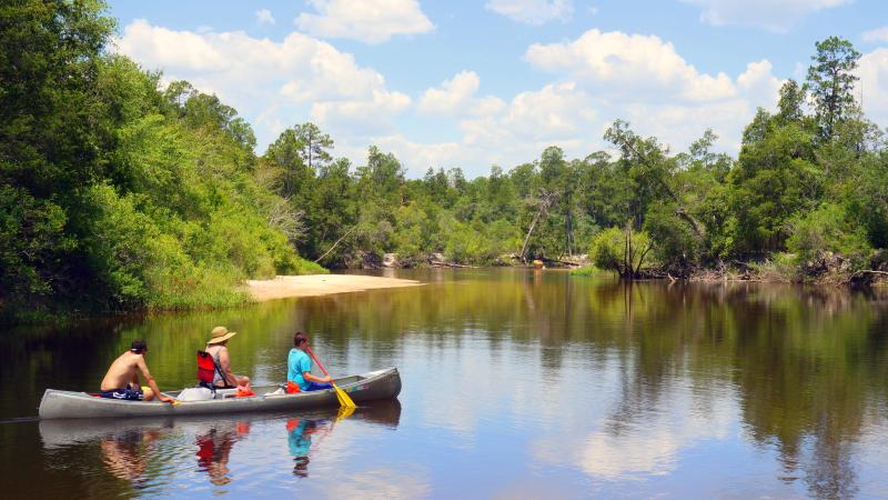 Things To Do Black Water River State Park